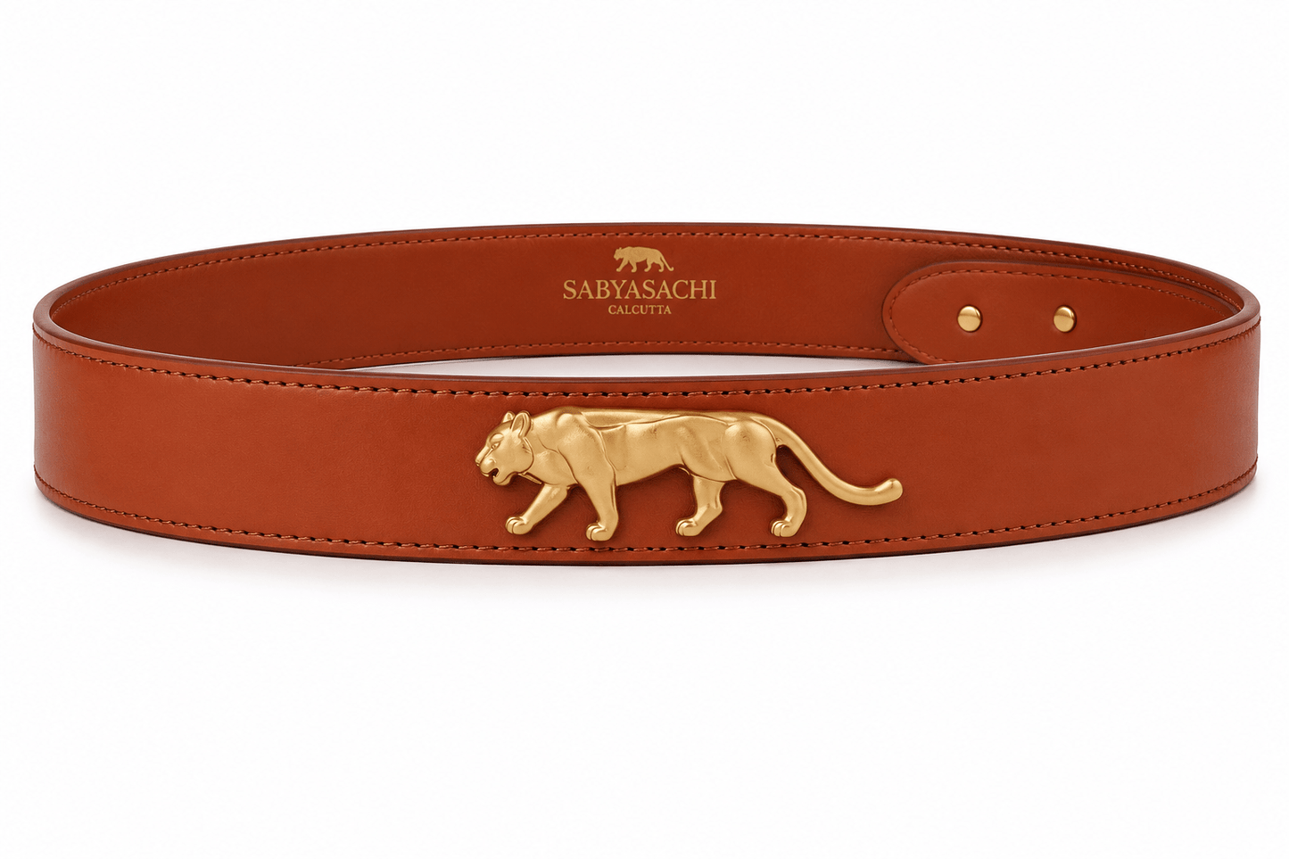 Gorgeous Sabya Belt CFB - Indian Dress House 786