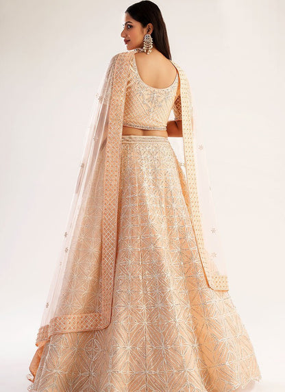 Stylish Peach ABHFL - Indian Dress House 786